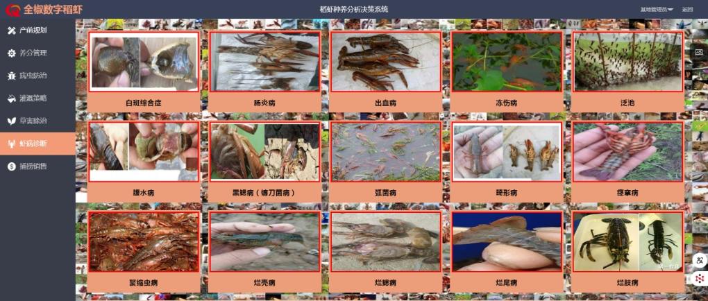 “乡土”焕新:AI如何催生农业生产变革?(图2)